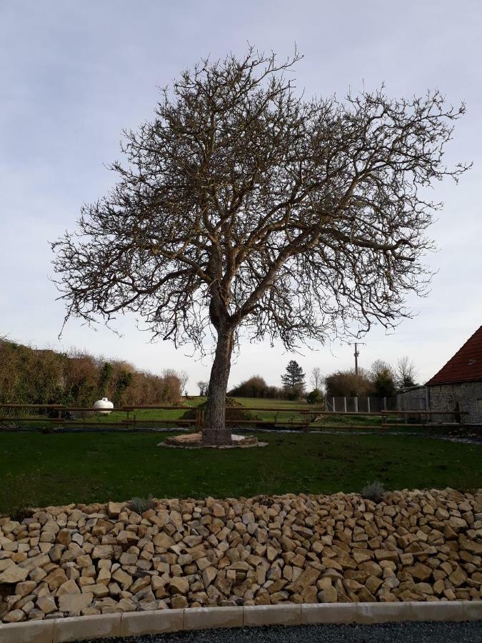 Gite " Le Vieux Noyer" Liesville-sur-Douve Exterior foto